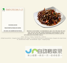 Auricularia polytricha(Mont)sacc|DRIED BLACK FUNGUS|WHITE BACK BLACK FUNGUS|BLACK FUNGUS WITH WHITE BACK-Zhangzhou Panda Fungus Co.,Ltd.