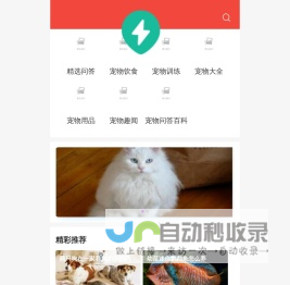 宠物大全_宠物狗_宠物猫，养宠乐趣尽在宠物趣 - 宠物趣